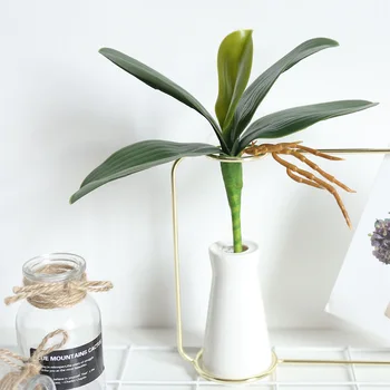Лист фаленопсиса искусственного растения, Декоративный лист орхидеи, Семейный сад своими руками, Вспомогательный материал