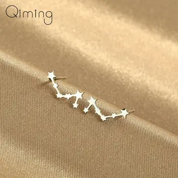 нержавеющая сталь знак зодиака звездные серьги женщины изящные ювелирные изделия серебряные серьги-гвоздики подарок на день рождения женский